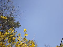 -游子山休闲旅游区
