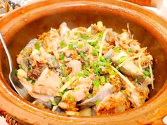 砂锅焗东江鱼-围龙屋客家食府(福田店)