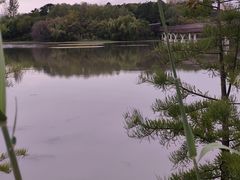 -昆山城市生态森林公园