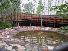 -溱湖国家湿地公园