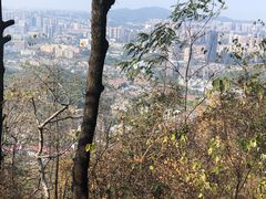 -岳麓山风景名胜区