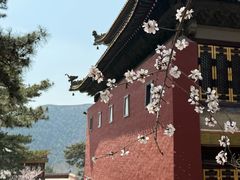 -承德避暑山庄景区