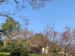 -雅达·阳羡溪山小镇中心