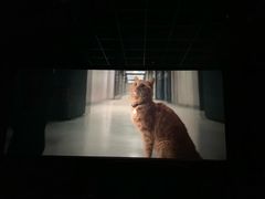 -汇金缪斯影城(八佰伴店)