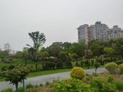 -金银湖国家城市湿地公园