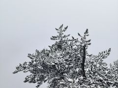 -终南山南五台景区