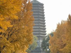 -玲珑塔公园