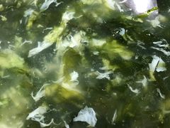 -食鼎记海鲜大排档(美食街店)