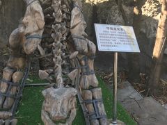 -昆明动物园