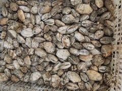 -富临港·蒸汽海鲜·手抓海鲜·炒菜(栈桥店)