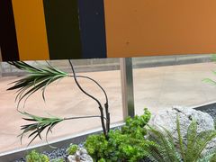 -隐溪茶馆(金虹桥店)