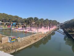 -苏州太湖西山岛开心农场