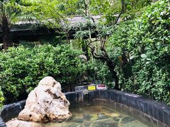 -西安国际创新人才交流中心•药浴温泉