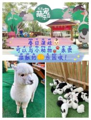 -萌宠亲子动物乐园(槐房万达店)