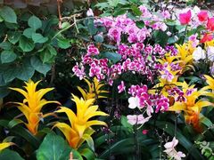 -北京植物园-展览温室