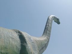 -西部长青自然儿童乐园