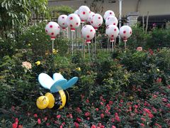 -人民公园(罗湖区)