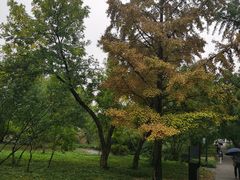 -国家植物园南园