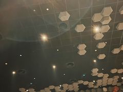 -星河寰宇IMAX影城(星河WORLD·COCO Park店)