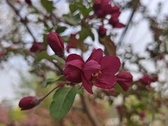 -元大都城垣遗址公园