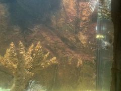 -福州罗源湾海洋世界旅游区