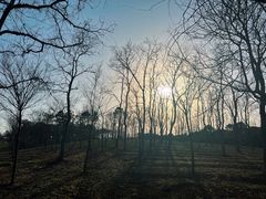 -上海海湾国家森林公园