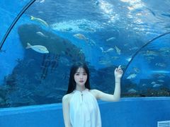 -合肥海洋世界