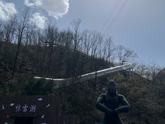 -栾川竹海野生动物园