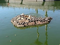 -梵天禅寺