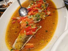 翘嘴鲌鱼-丹江渔村(望京店)