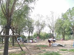 -东郊湿地公园
