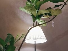 -西堤牛排(南京龙江店)