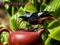 -肯德基(津滨店)