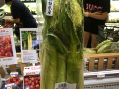 -崇光百货(铜锣湾店)