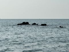 -银沙滩浴场
