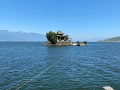 -小普陀