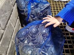 -蟹道河蟹大米商行