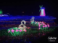 -武汉紫薇都市田园