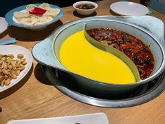 -青瓷火锅料理(西单大悦城店)
