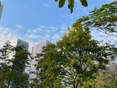 -文华公园(禅城区)