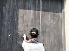 -老苏州大客堂·苏帮菜·松鼠桂鱼·苏州传统小吃(观前街人民商场店)