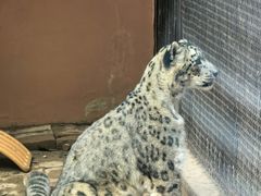 -青藏高原野生动物园