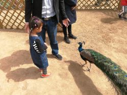 -萌宠亲子动物乐园(槐房万达店)