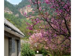 -羚羊峡古栈道森林公园