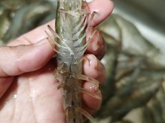 -三旗百汇商品城