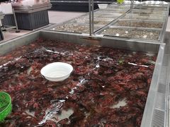 -永辉超市(鲁谷店)