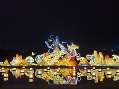 -武汉园博园(武汉自然博物馆)