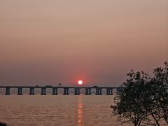 -宝安西湾红树林湿地公园