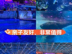 -海合安青岛极地海洋公园