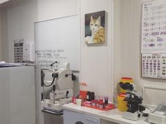 -守诺宠物医院·眼科· 特色牙科·异宠专科(虹口店)
